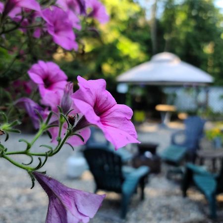 Grizzly Paw B&B Clearwater Exterior photo