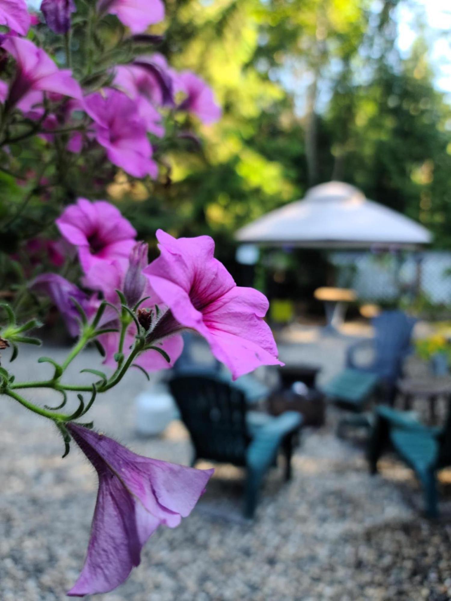 Grizzly Paw B&B Clearwater Exterior photo